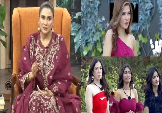 لازوال عشق جیسے شو ہماری معاشرتی اقدار کو نقصان پہنچا رہے ہیں، فضا علی