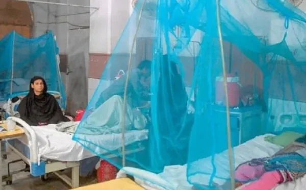 راولپنڈی میں ڈینگی کی سنگین صورتحال، جامع رپورٹ جاری