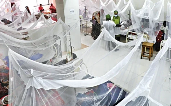 راولپنڈی میں ڈینگی کے تابڑتوڑ حملے جاری