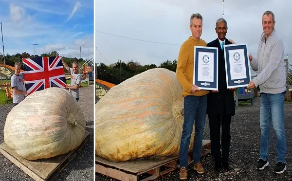 برطانیہ: دنیا کے سب سے وزنی کدو کا گینیز ورلڈ ریکارڈ