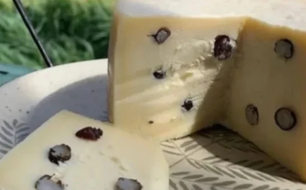 برازیل کی مشہور پنیر جس میں ذائقے کےلیے چیونٹیاں ملائی جاتی ہیں