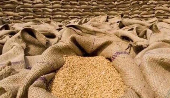 پنجاب ؛ مرغیوں کے دانے میں گندم استعمال کرنے پر پابندی میں 30 دن کی توسیع