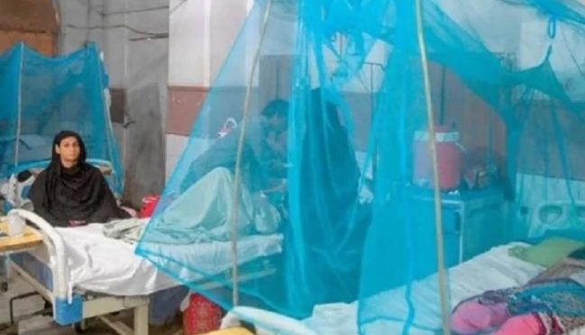 راولپنڈی میں ڈینگی کے وار جاری، 24 گھنٹوں میں 20 نئے کیسز رپورٹ