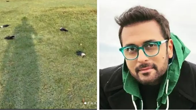 بلال مقصود نے سوشل میڈیا پر کراچی کے پارک میں موجود مردہ کوؤں کی ویڈیو شیئر کردی