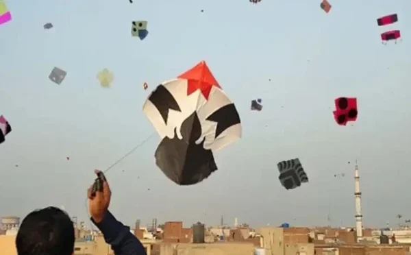 لاہور؛ بسنت کے لیے رجسٹریشن فیس کی تفصیلات جاری