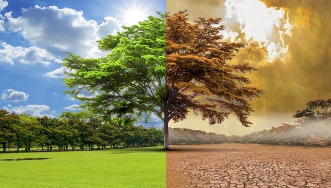 رپورٹر کی ڈائری مہران اجمل خان