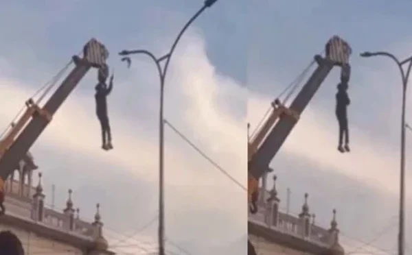 معصوم پرندے کو بچانے کیلیے اپنی جان خطرے میں ڈال دی؛ نوجوان ہیرو کی ویڈیو وائرل