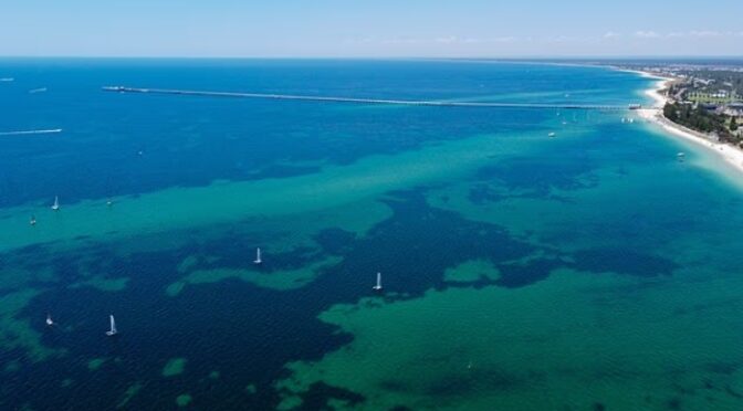 تیرہ سالہ  لڑکے نے سمندر میں 4 گھنٹے تیر کر اپنے خاندان کی زندگی بچالی