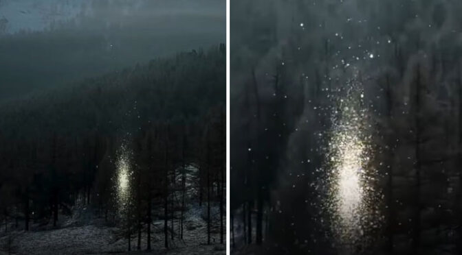 ویڈیو: ہوا میں گھومتی ہوئی چمک ’سن کینڈل‘ کا حیرت انگیز نظارہ