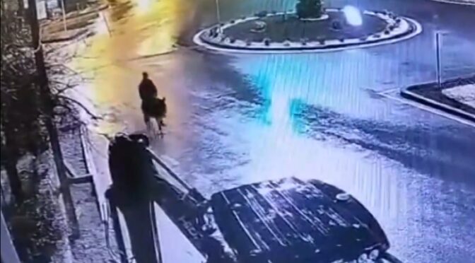 چور دکان سے زیورات چرا کر گدھے پر بیٹھ کر فرار