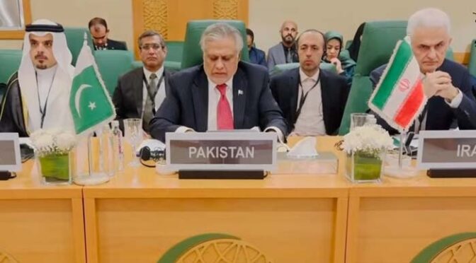 غزہ میں اسرائیل کے توسیع پسندانہ اقدامات کسی صورت قابل قبول نہیں: اسحاق ڈار