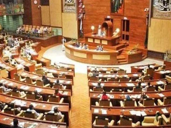 سندھ اسمبلی میں جامعات پر بحث، بات کرنے کی اجازت نہ ملنے پر اپوزیشن کا احتجاج