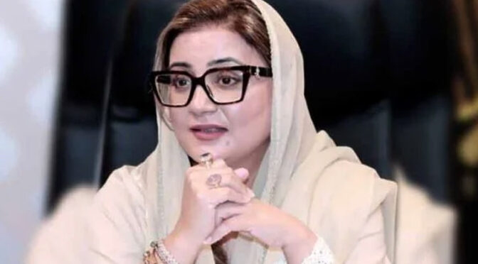 پنجاب میں رمضان نگہبان پیکج کی تقسیم جاری، 23 لاکھ کارڈز ڈیلیور