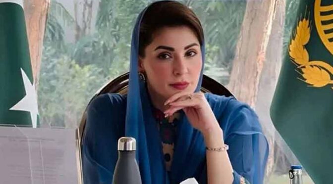 سماج دشمن عناصر کی ڈیجیٹل مانیٹرنگ ضروری، کھلا نہیں چھوڑ سکتے: مریم نواز