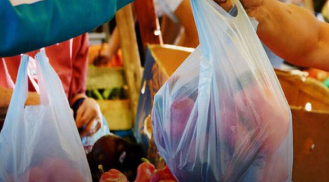 پنجاب حکومت کا پلاسٹک تھیلے استعمال کرنے پر کارروائی کا فیصلہ