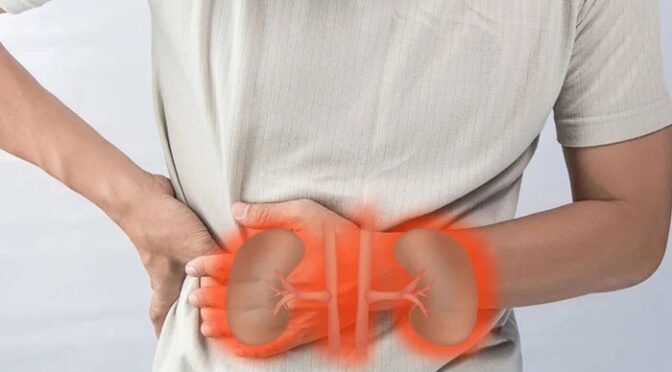 گردوں کے تکلیف دہ امراض سے تحفظ فراہم کرنیوالی 11 بہترین غذائیں