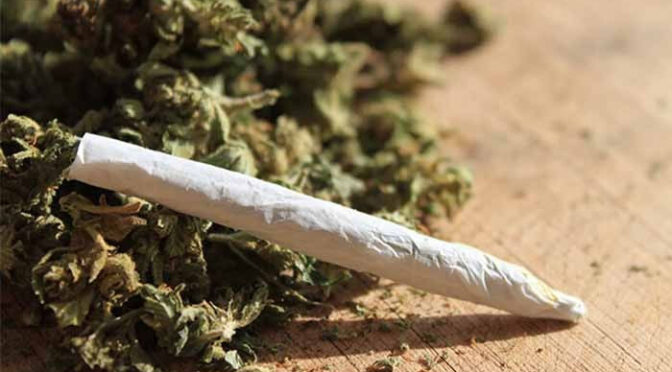 دنیا میں سالانہ 24 کروڑ سے زائد افراد بھنگ اور چرس کے عادی ہوگئے