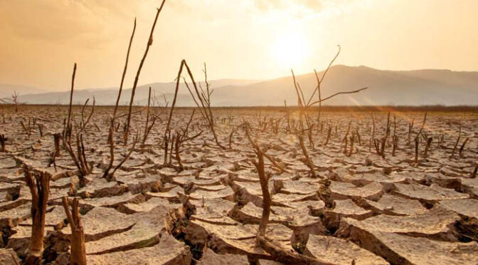 ’ہیٹ برسٹ‘ اور قحط کا سایا: ال نینو کی واپسی سے پاکستان میں درجہ حرارت 48 ڈگری تک جانے کا امکان،