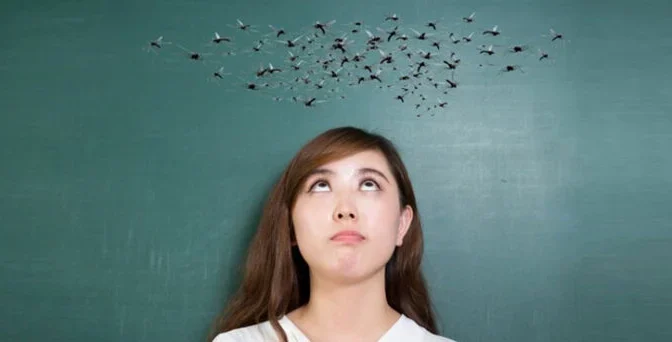 مچھروں نے پہلی بار کب اور کس انسان کا خون پیا؟ نئی اور دلچسپ تحقیق