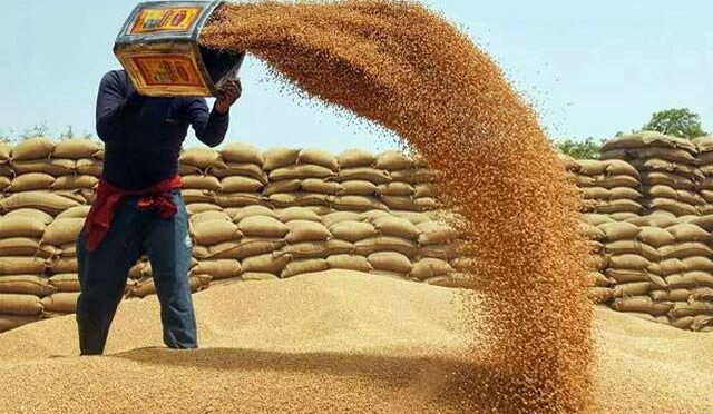 گندم خریداری مہم، کسانوں کیلئے ادائیگی کا نیا سسٹم نافذ