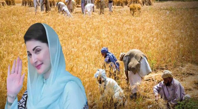 وزیراعلیٰ پنجاب کا گندم کے کاشتکاروں کو6 ارب روپے کا باردانہ مفت دینے کا اعلان