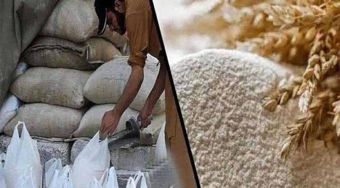 پنجاب میں گندم کٹائی سیزن کے آغاز کے باوجود آٹے کی قیمت میں ہوشربا اضافہ