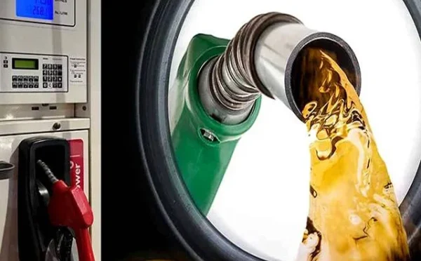 تیل کے مناسب ذخائر موجود ہیں مستقبل کی ضرورت کے لیے بھی انتظام ہوچکا، وزیراعظم کو بریفنگ