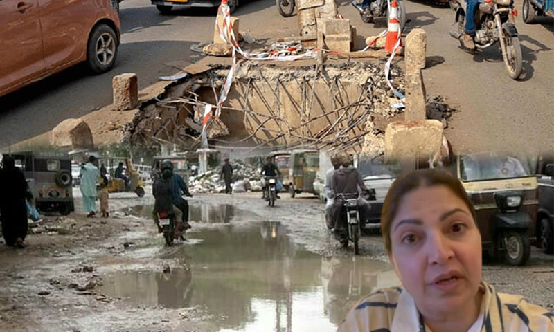 اللہ کا واسطہ ہے کراچی کی سڑکیں ٹھیک کردیں،شگفتہ اعجاز حکمرانوں پر برس پڑیں