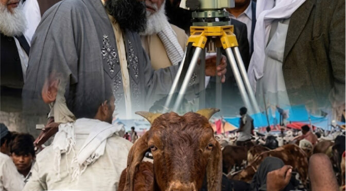 ذی الحج کا چاند نظر آگیا، پاکستان میں عید الاضحی بروز بدھ 27 مئی کو ہوگی