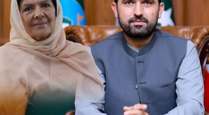 فیصلہ علیمہ خان نے کرنا ہے کہ دھرنا جاری رکھنا ہے یا ختم کرنا ہے: سہیل آفریدی