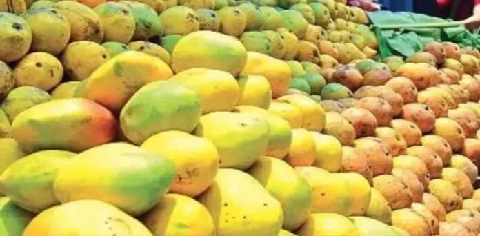 آم کی پیداوار اور برآمدات، پاکستان کو بڑا دھچکا