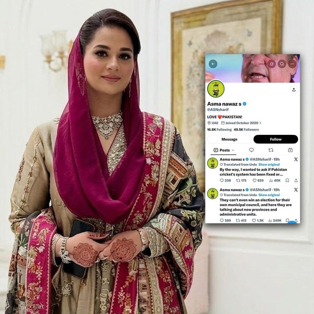 اپنے بل بوتے پر کونسلر کا الیکشن نہیں جیت سکتے اور بات کر رہے ہیں نئے صوبوں و انتظامی یونٹس کی:اسمہ نواز کا ٹوئٹ