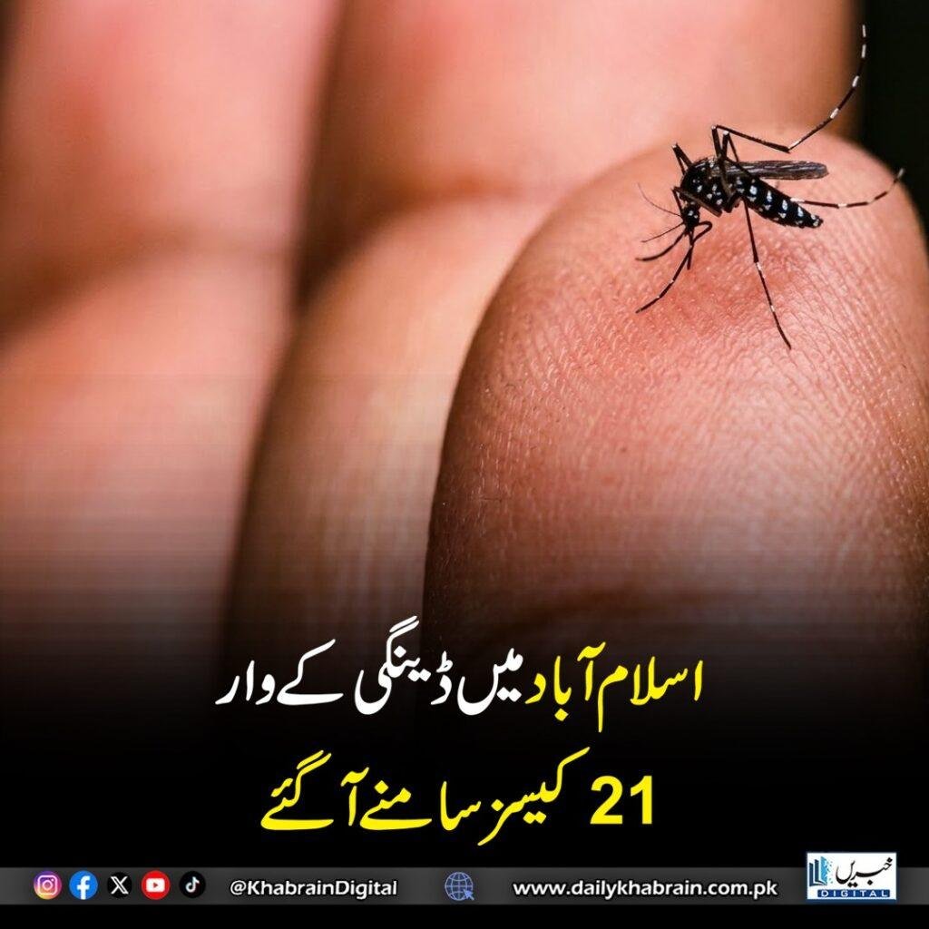اسلام آباد میں ڈینگی کے وار 21 کیسز سامنے آگئے